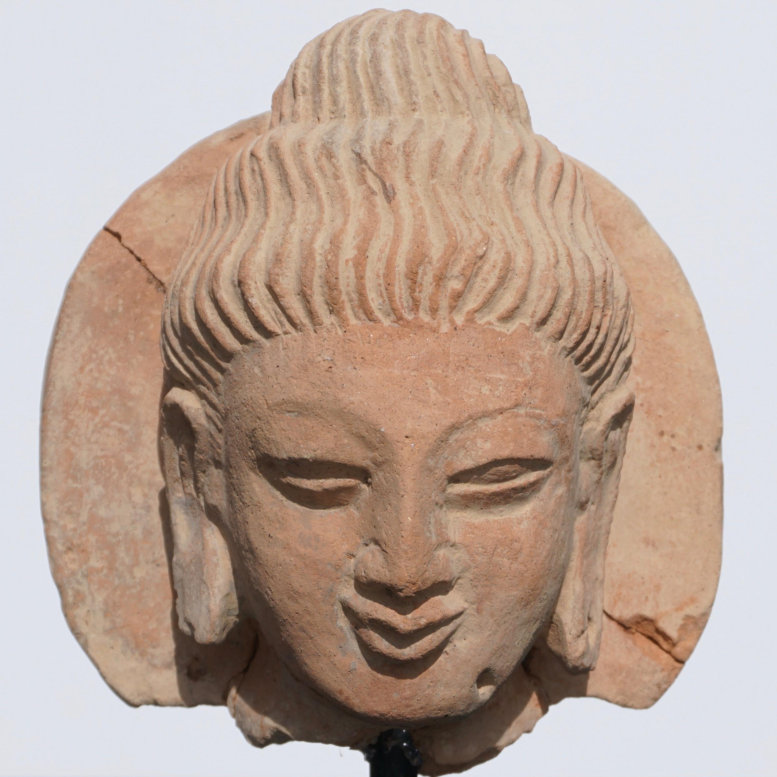 Greco Roman Terracotta Gandhara Buddha Head, 3rd-4th Century