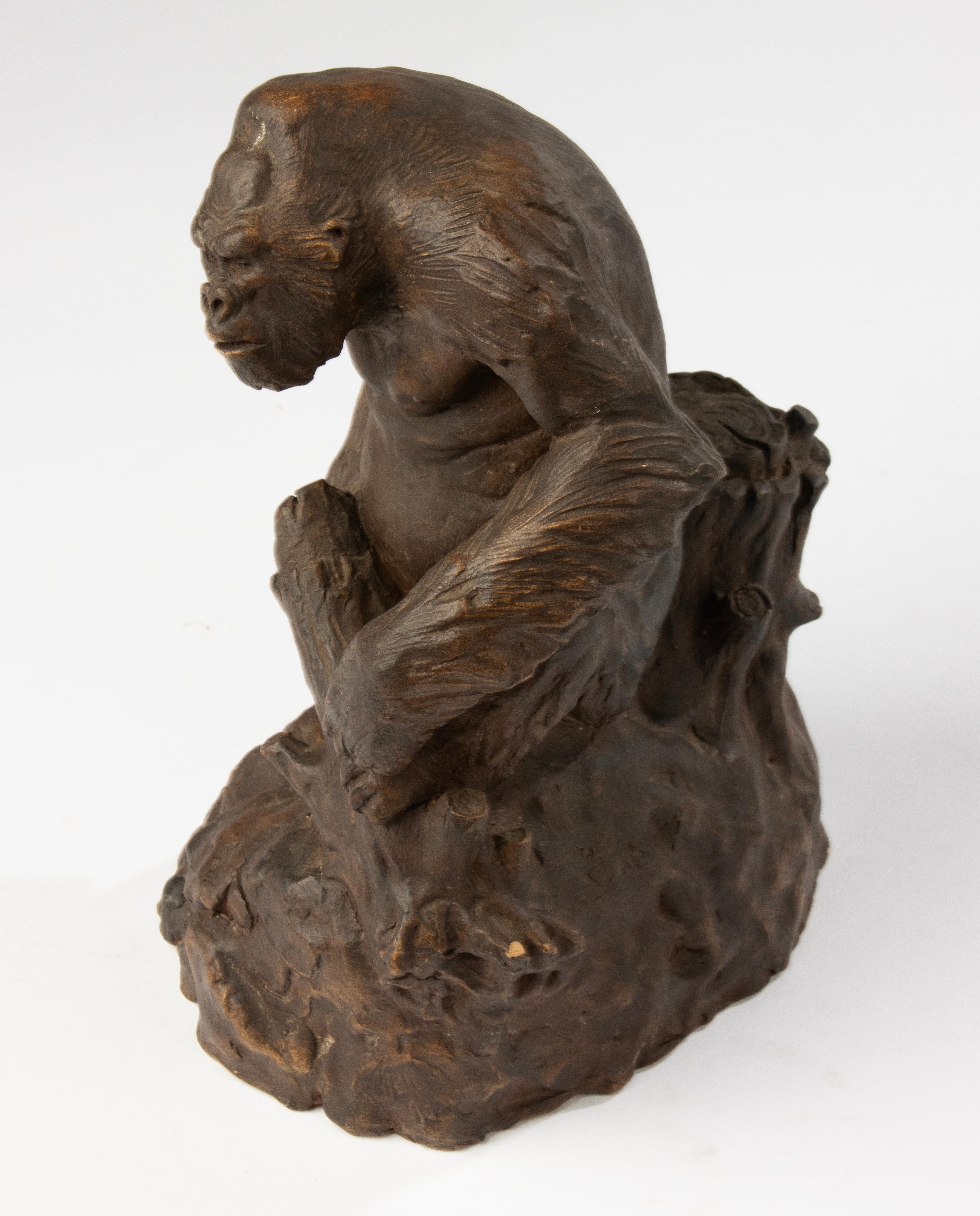 Terracotta Gorilla Sculpture - made by the Belgian Artist CHEM M For Sale 10