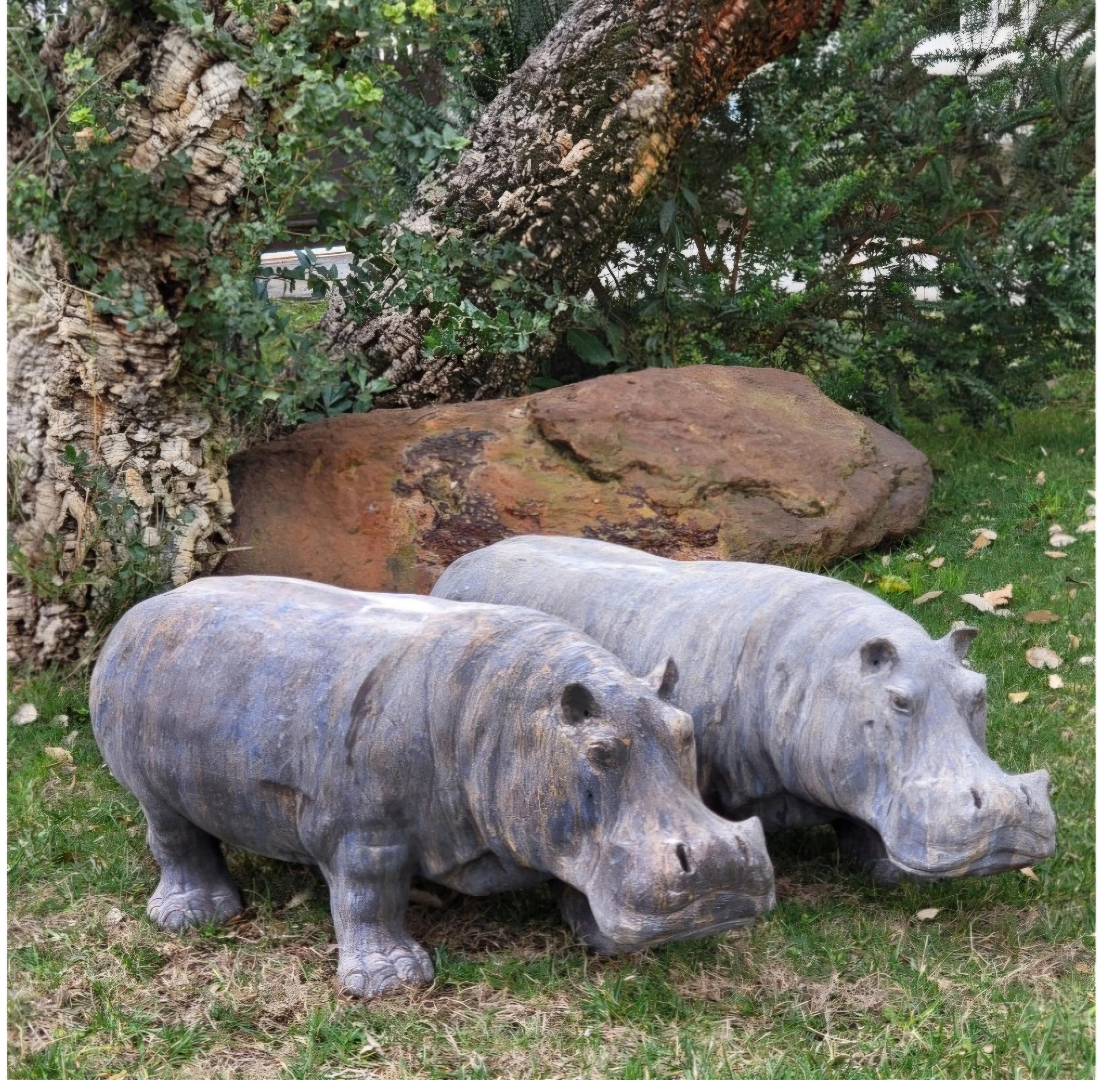 Grande ippopotamo in terracotta, bellissima forma di Hippopotamus amphibius Linnaeus, 1758.