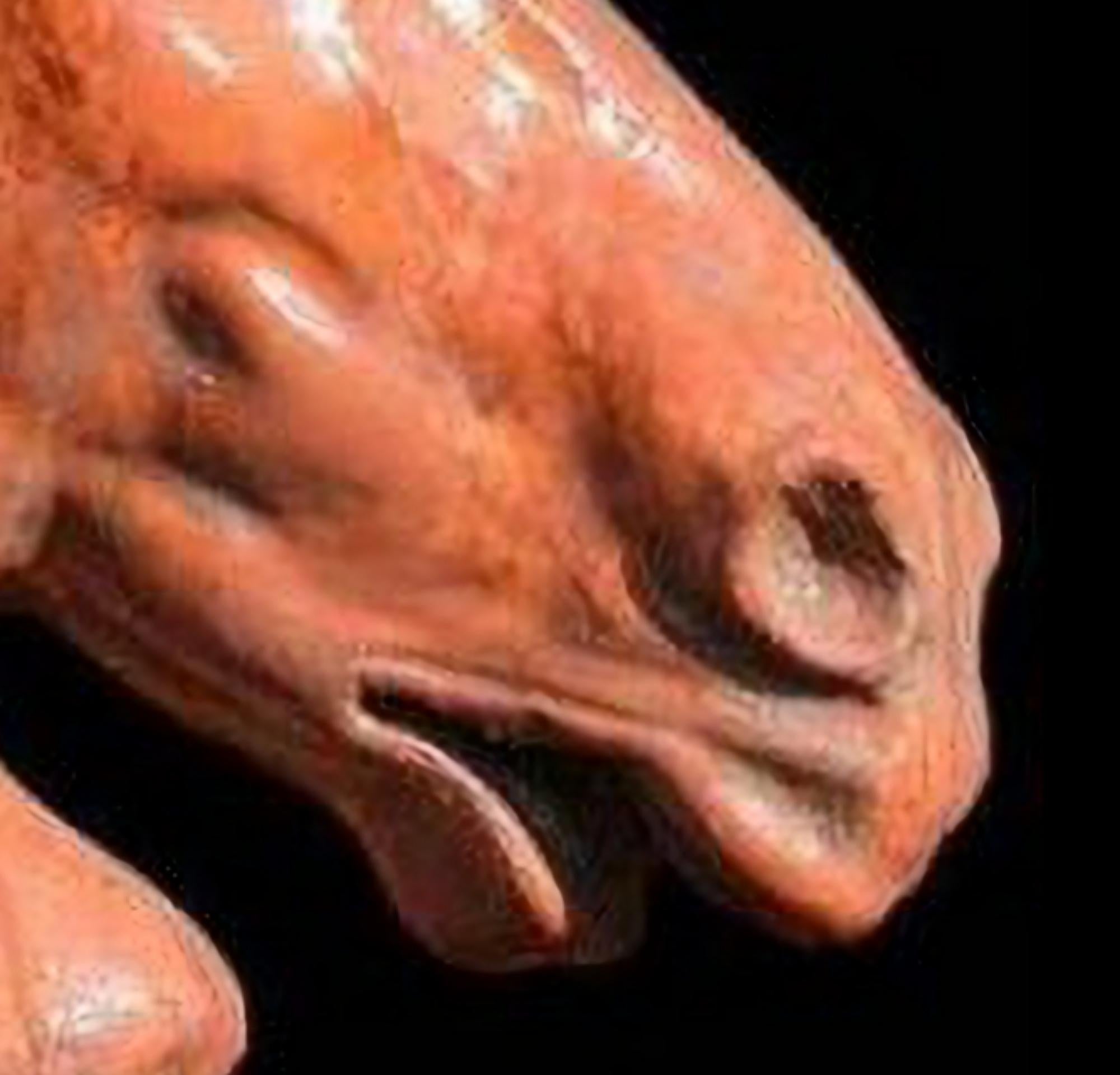 Hand-Crafted TERRACOTTA HORSE HEAD OF SELENE'S CHARIOT end 19th Century For Sale