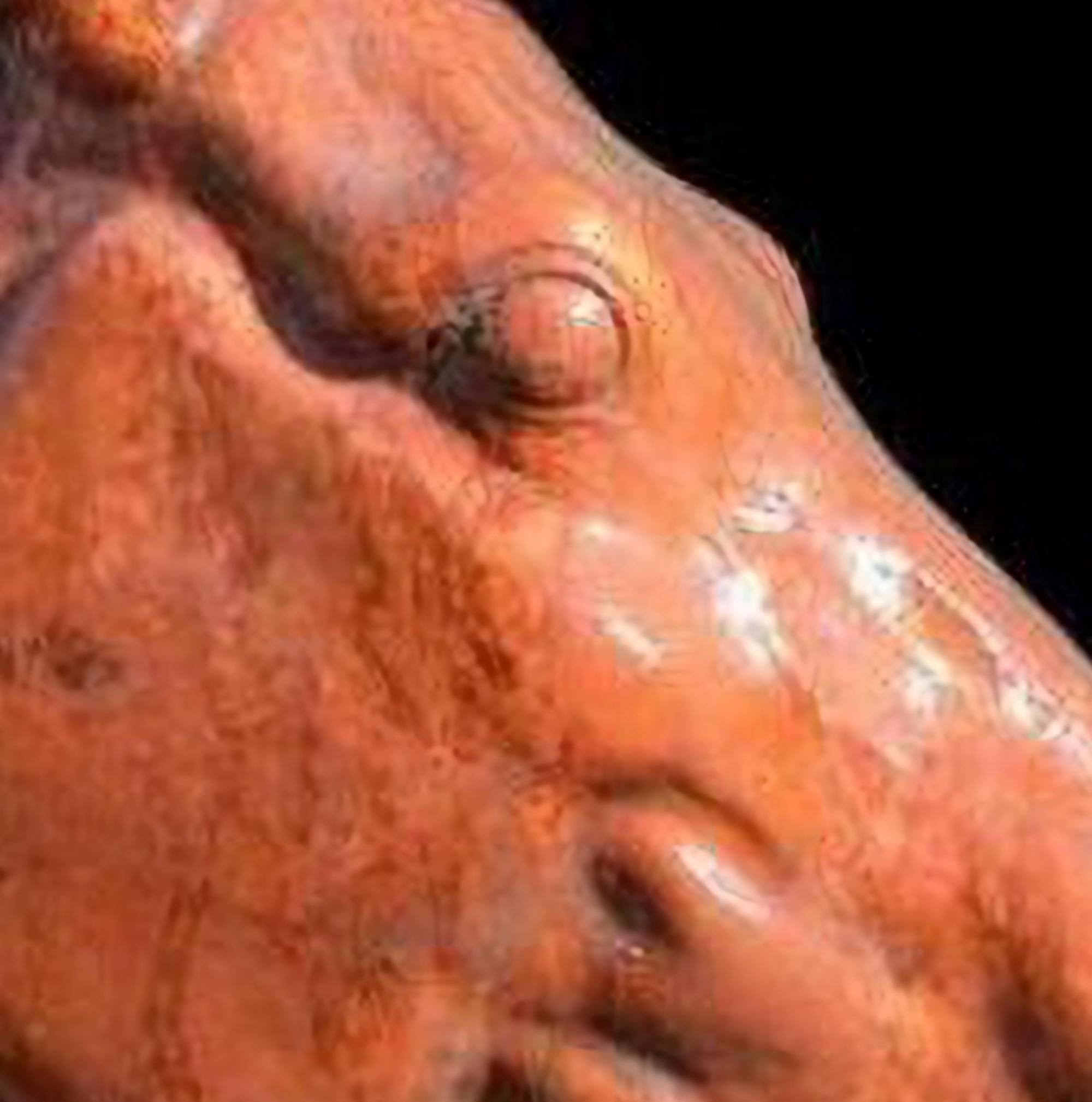 TERRACOTTA HORSE HEAD OF SELENE'S CHARIOT fin du 19ème siècle Bon état - En vente à Madrid, ES