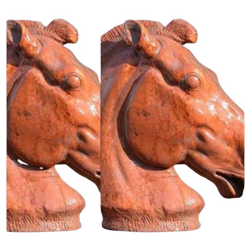 TERRACOTTA HORSE HEAD OF SELENE'S CHARIOT end 19th Century For Sale