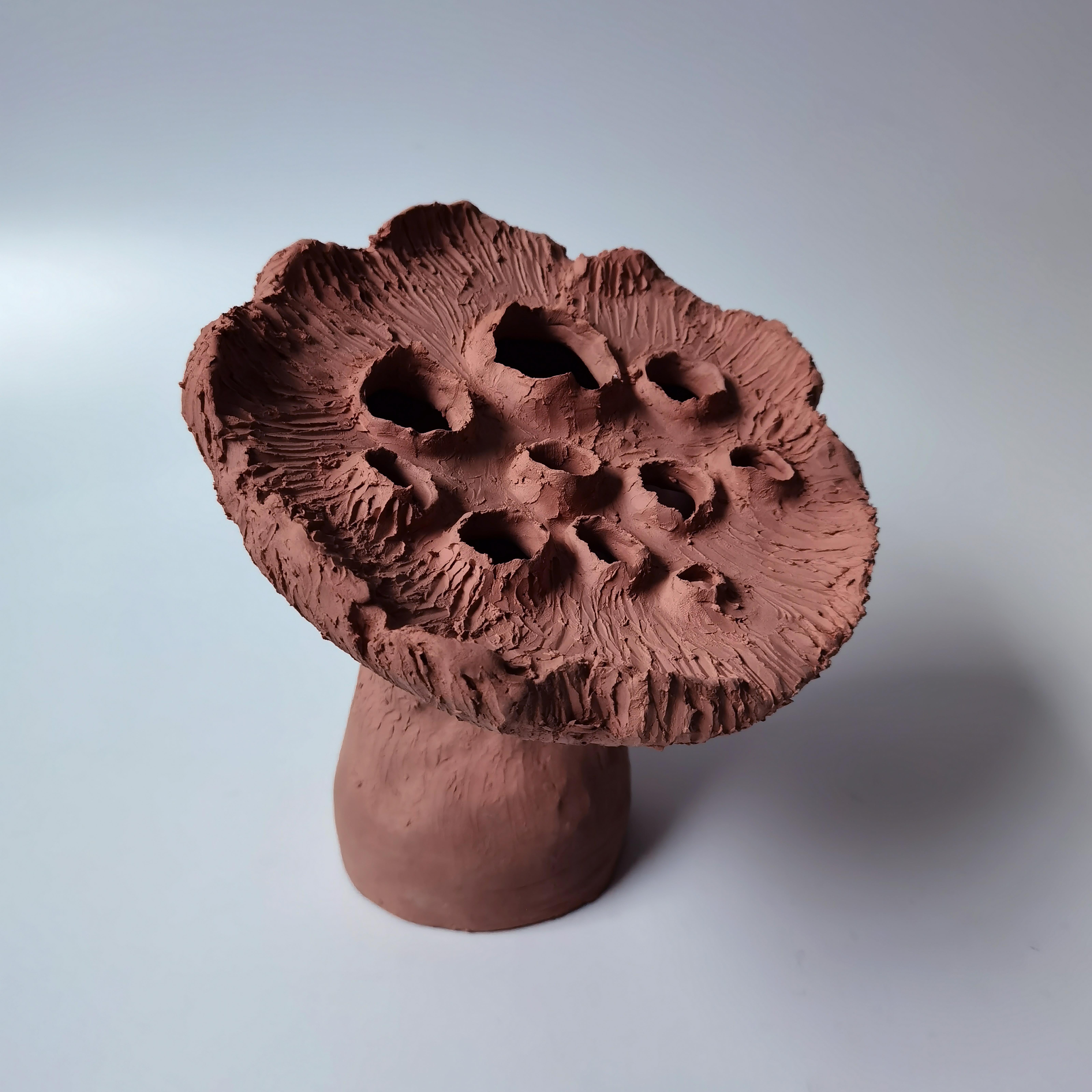 Terracotta lotus pod by Jan Ernst
Dimensions: H 20 cm
Materials: Terracotta

Jan Ernst’s work takes on an experimental approach, as he prefers making bespoke pieces by hand. His organic design stems from his
abstract understanding of form and