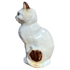 Terracotta Majolica Cat Bavent Normandy