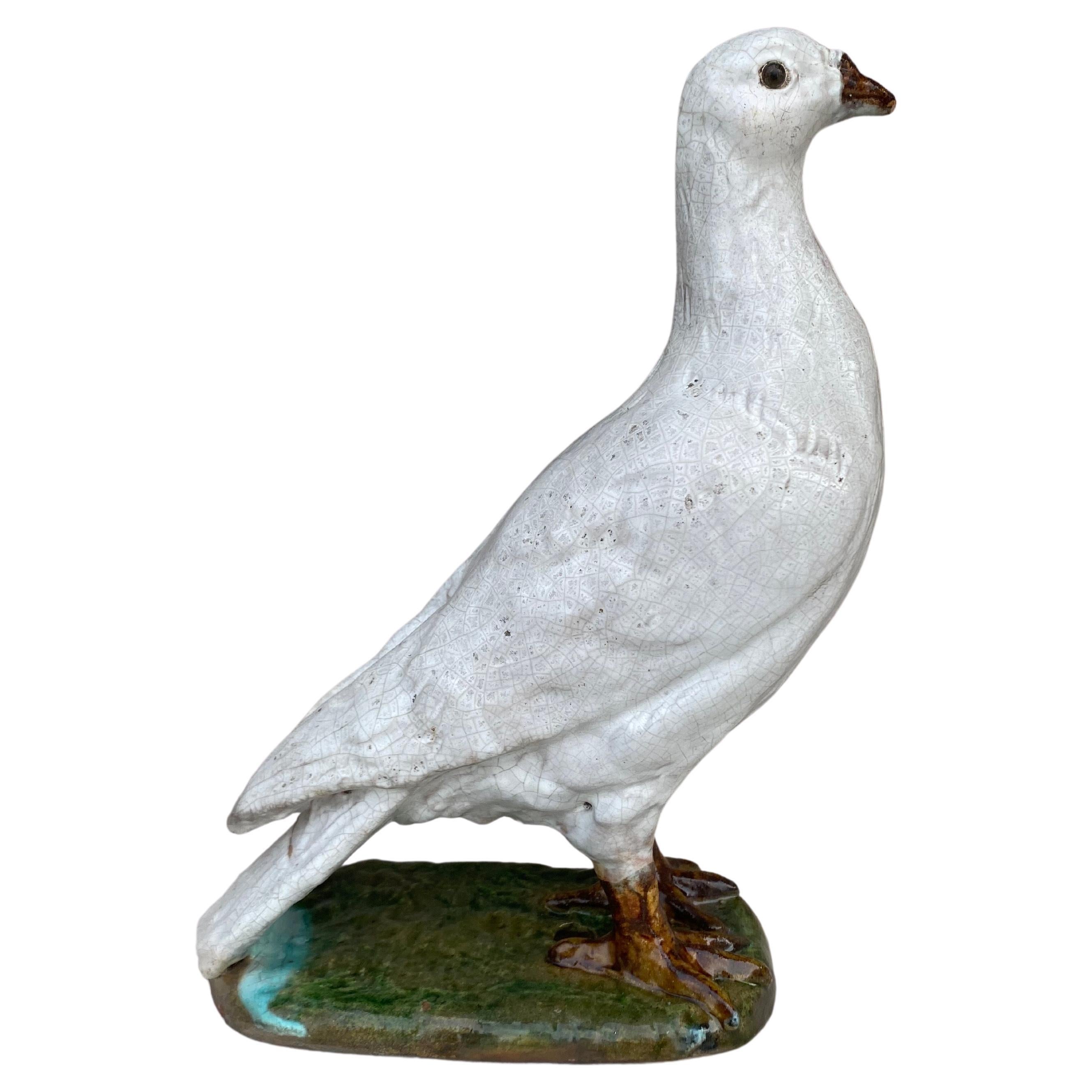 Terracotta Majolica Pigeon Bavent Normandy For Sale