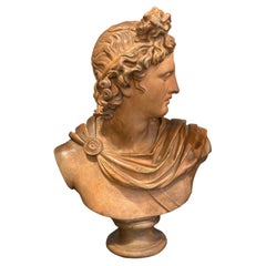 Terracotta Male Italian Bust, Circa 1870 