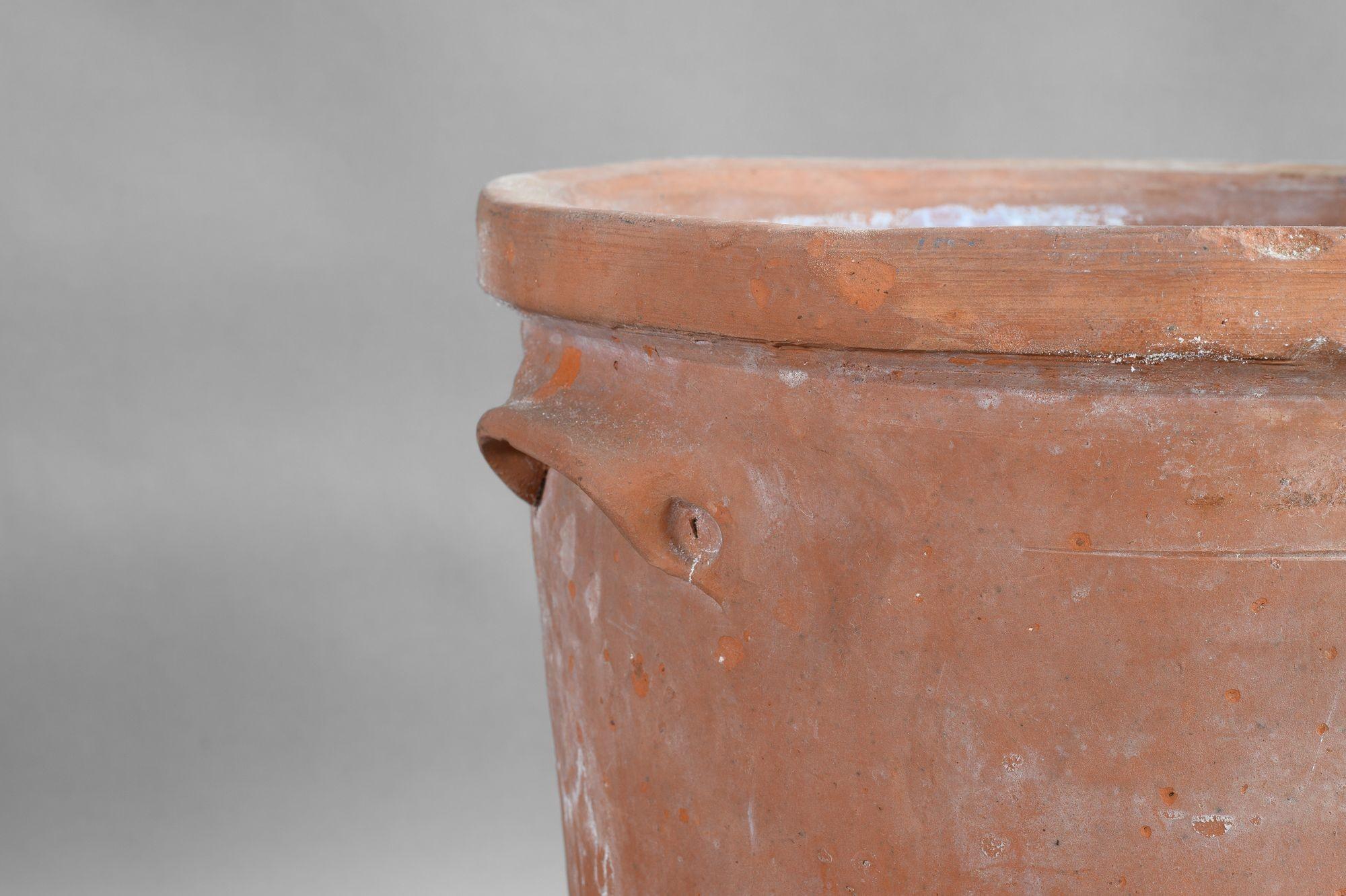 Early 20th Century Terracotta Pot For Sale