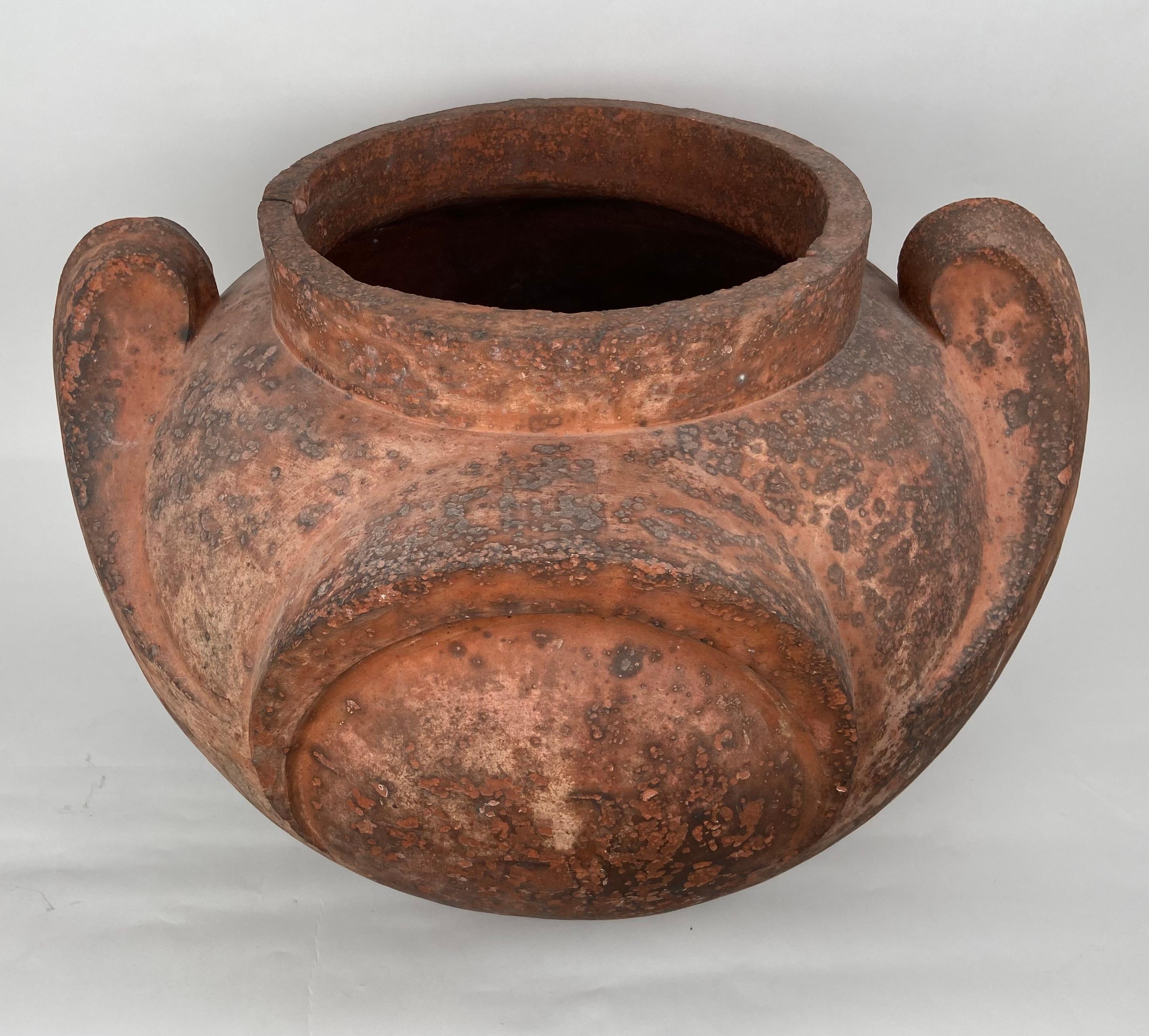 Early 20th Century Terracotta pot For Sale