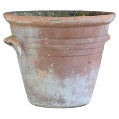 Terracotta Pot