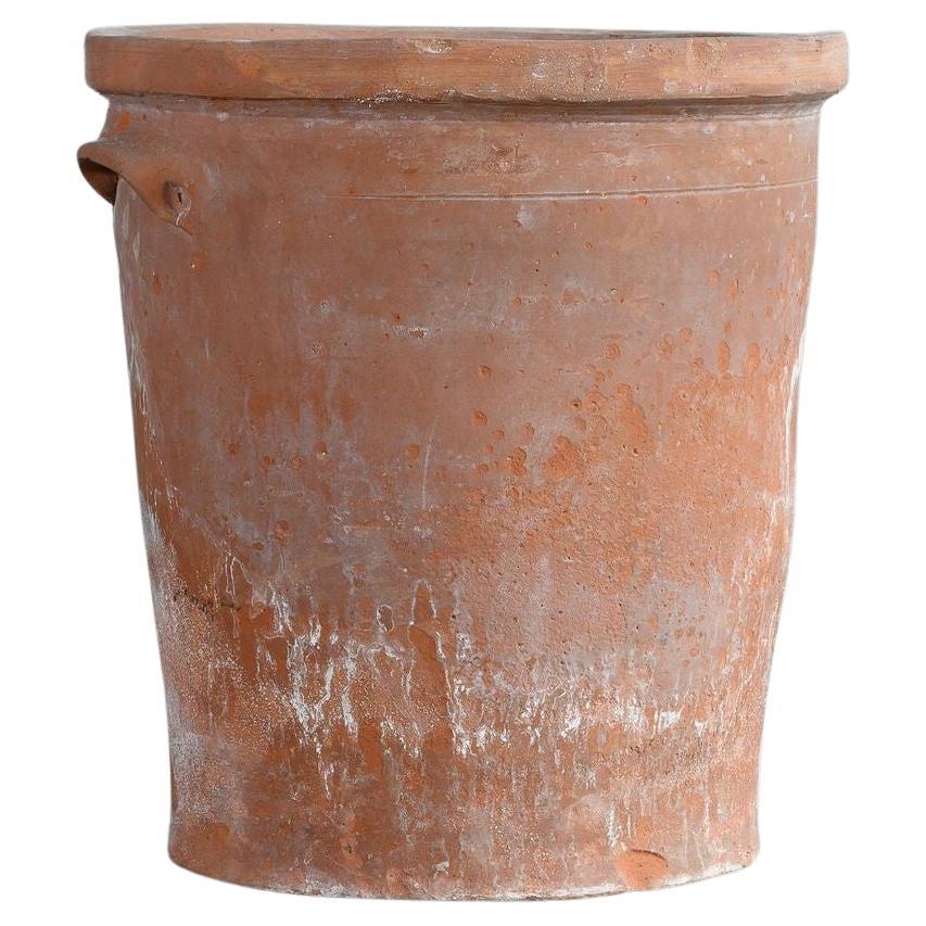 Terracotta Pot For Sale