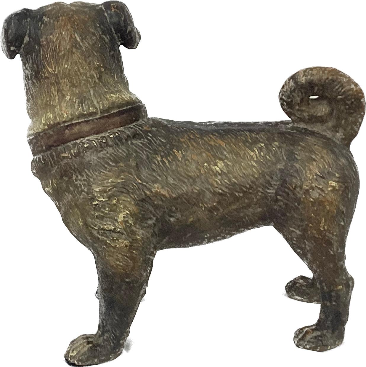 Austrian Terracotta Pug Dog With Glass Eyes For Sale