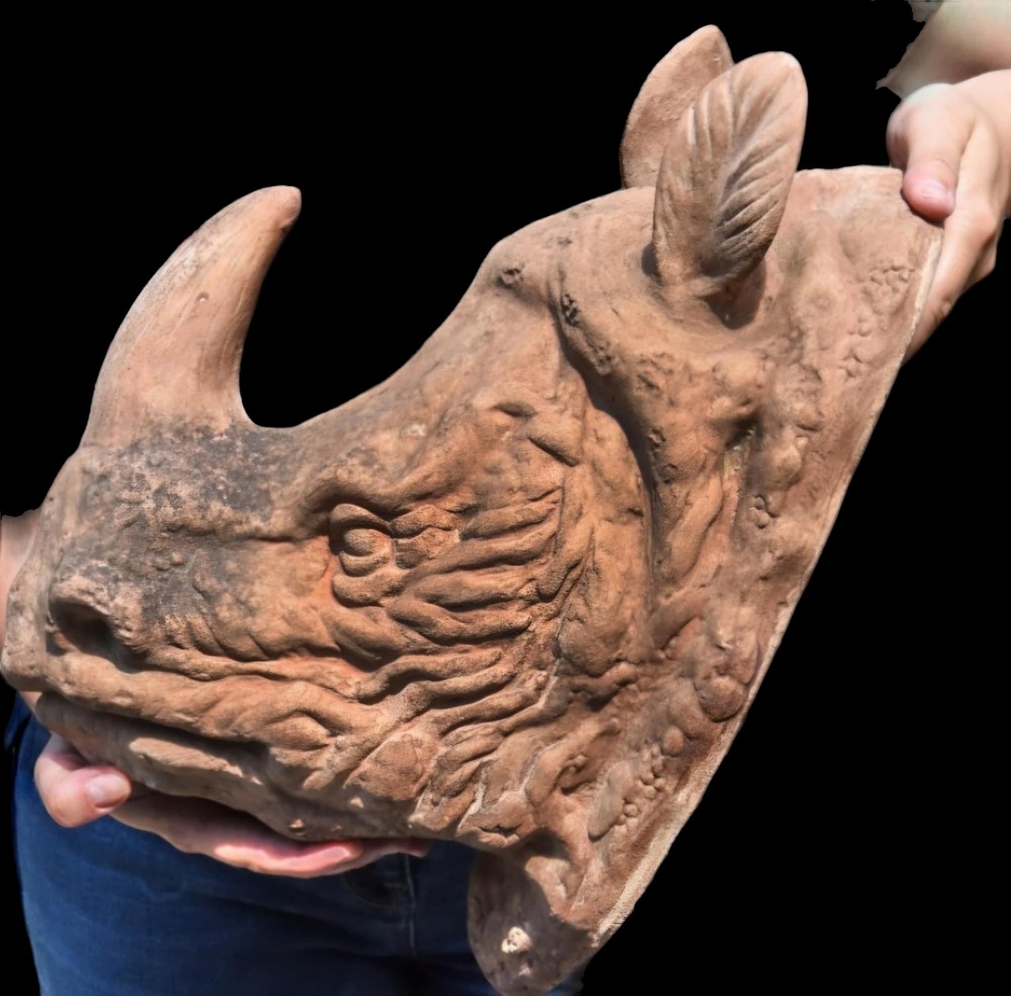 Fine XX secolo TROFEO TESTA DI RINO TERRACOTTA in vendita