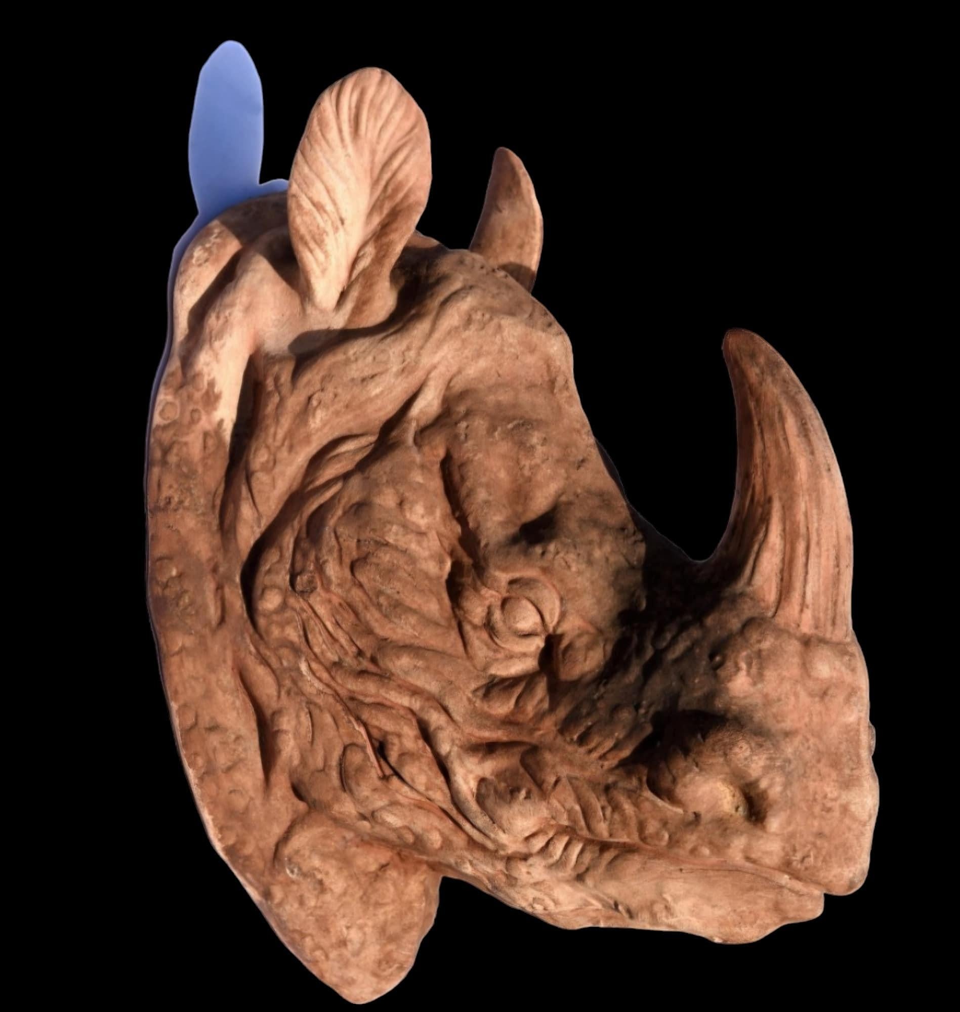 Terracotta TROFEO TESTA DI RINO TERRACOTTA in vendita