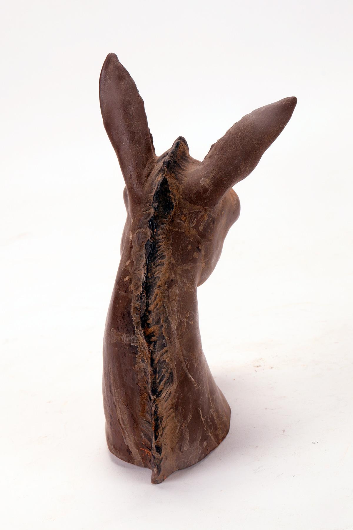 20th Century Terracotta sculpture depicting a donkey, Italy, second half of the 19th century. For Sale