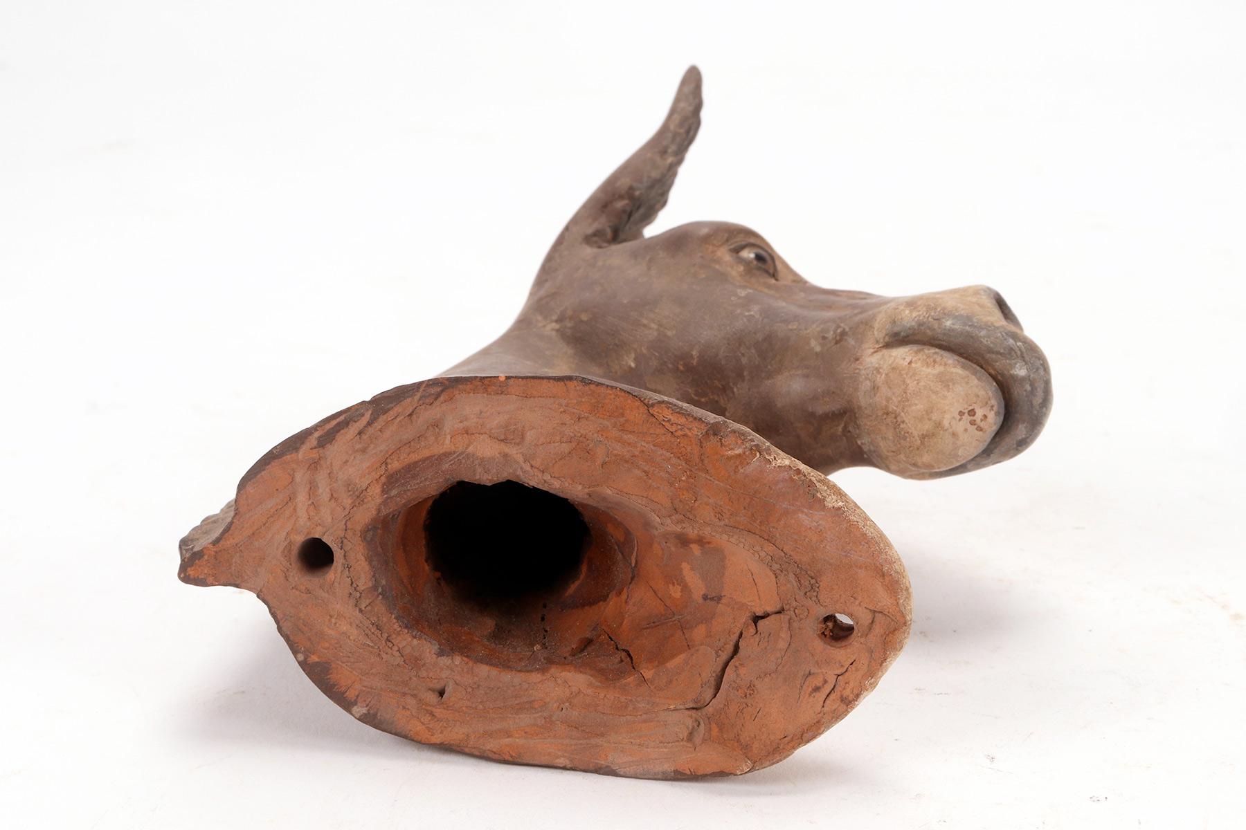 Terracotta sculpture depicting a donkey, Italy, second half of the 19th century. For Sale 3