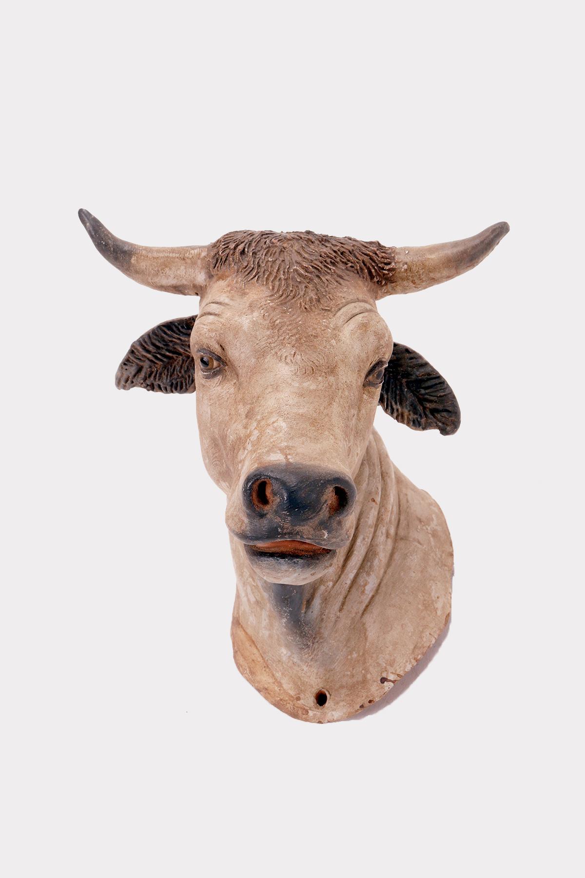 Terracotta nativity sculptures depicting the neck and head of an ox.
The sculpture is made of terracotta entirely by hand, finished in stick and color. In the nativity scene, the ox is ideally placed to the right of the child. Remarkable executive