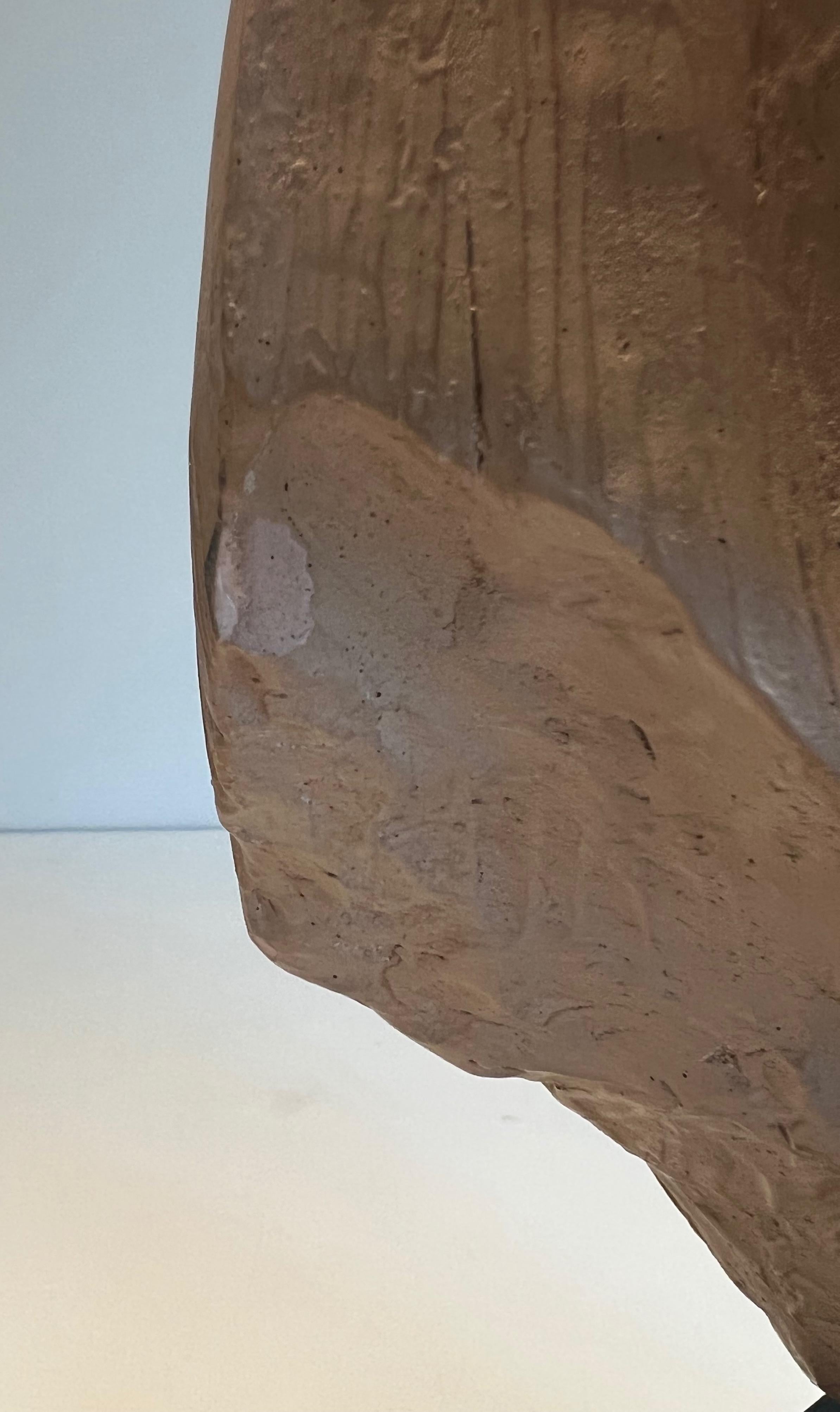 Terracotta Sculpture Representing a Woman's Face For Sale 9