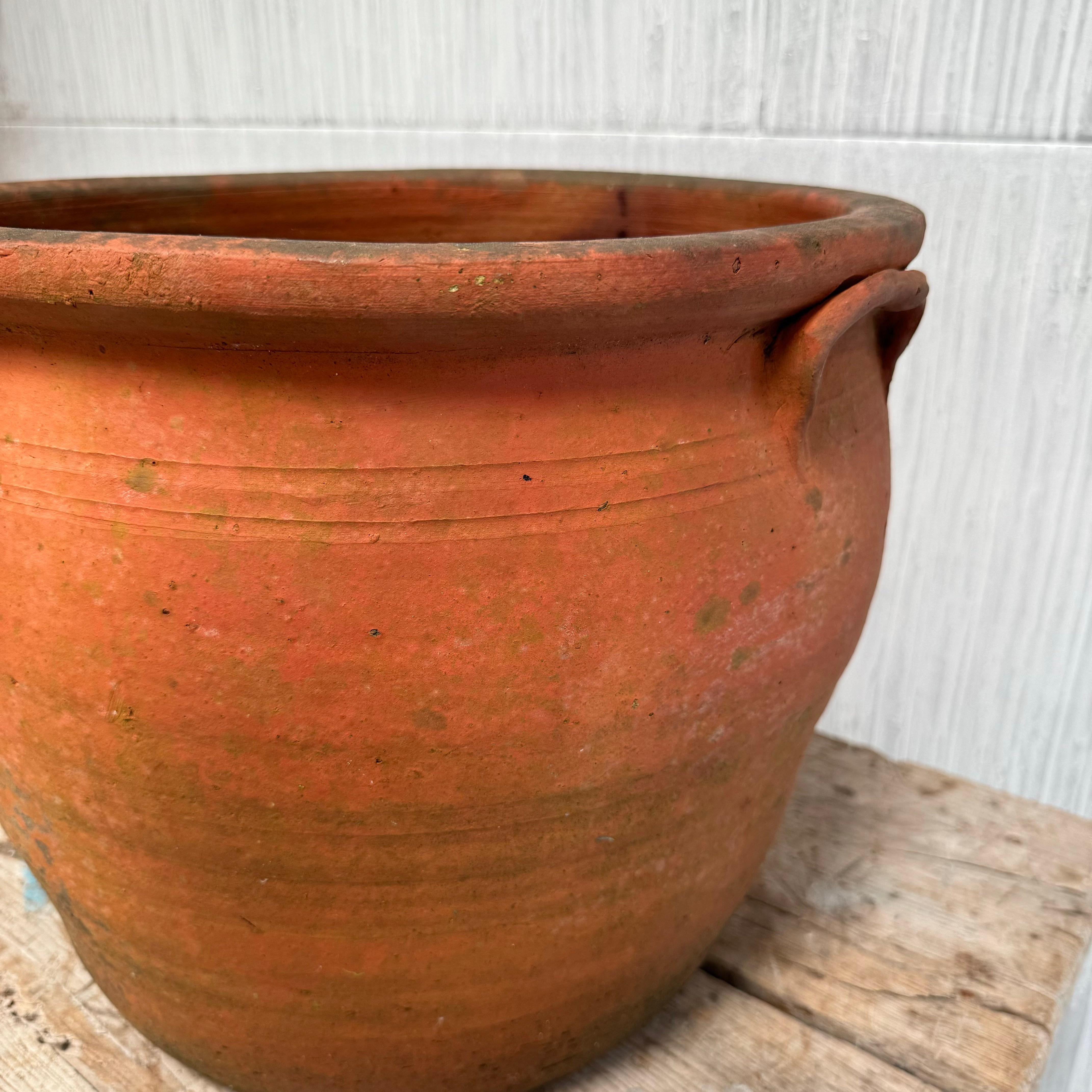 Jardinera de terracota de Sussex utilizada para guardar huevos, hacia 1900