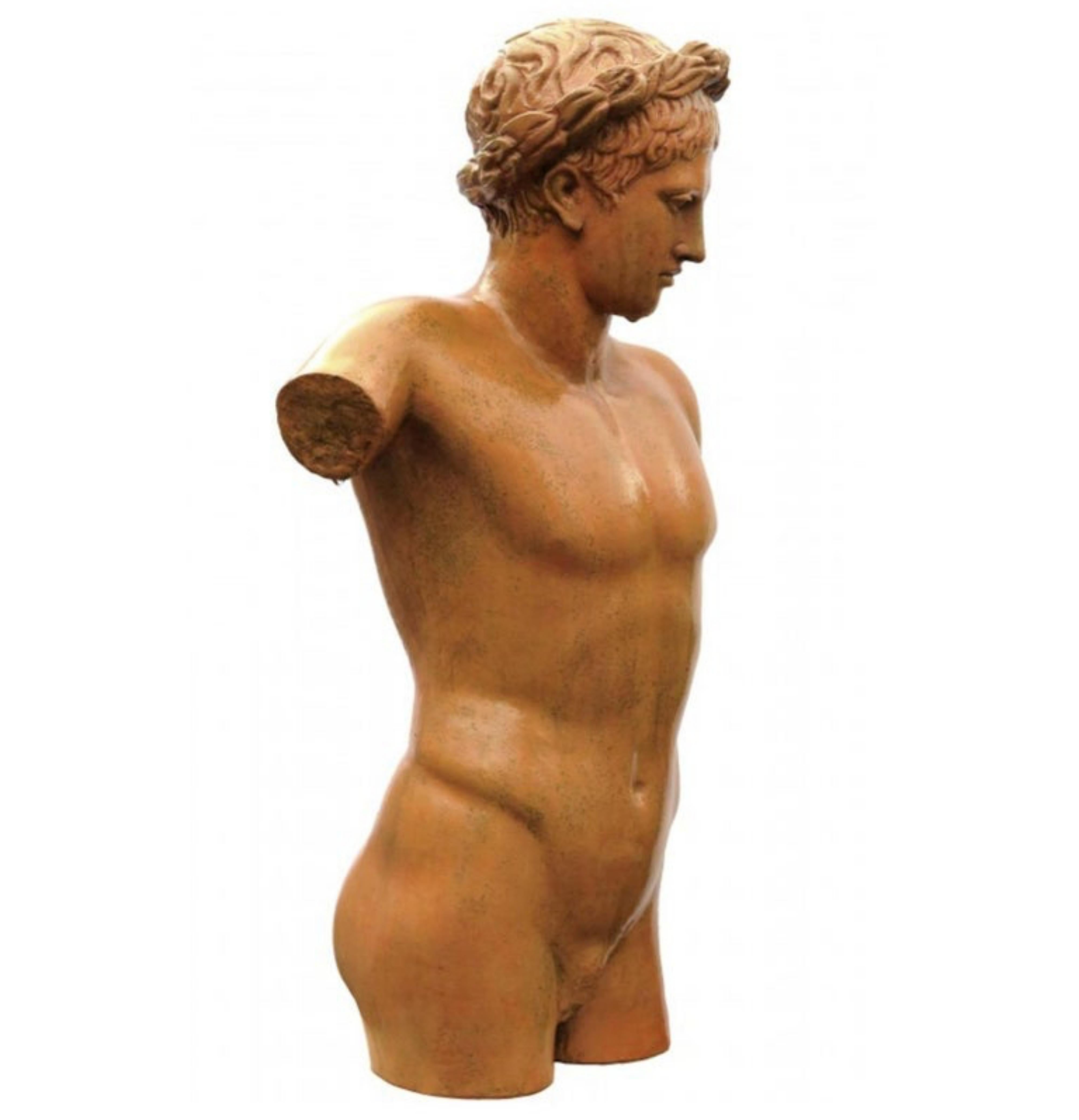 Italian Terracotta Torso Sculpture of Apollo, Early 20th Century For Sale
