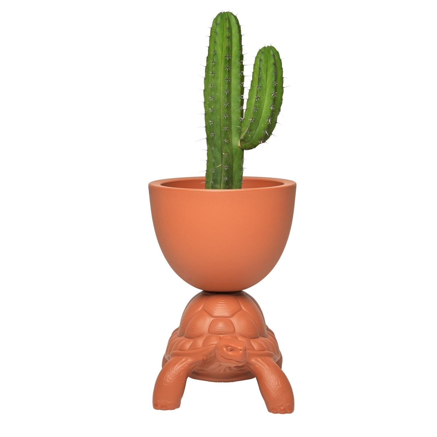 Modern In Stock in Los Angeles, Terracotta Turtle Carry Planter / Champagne Cooler