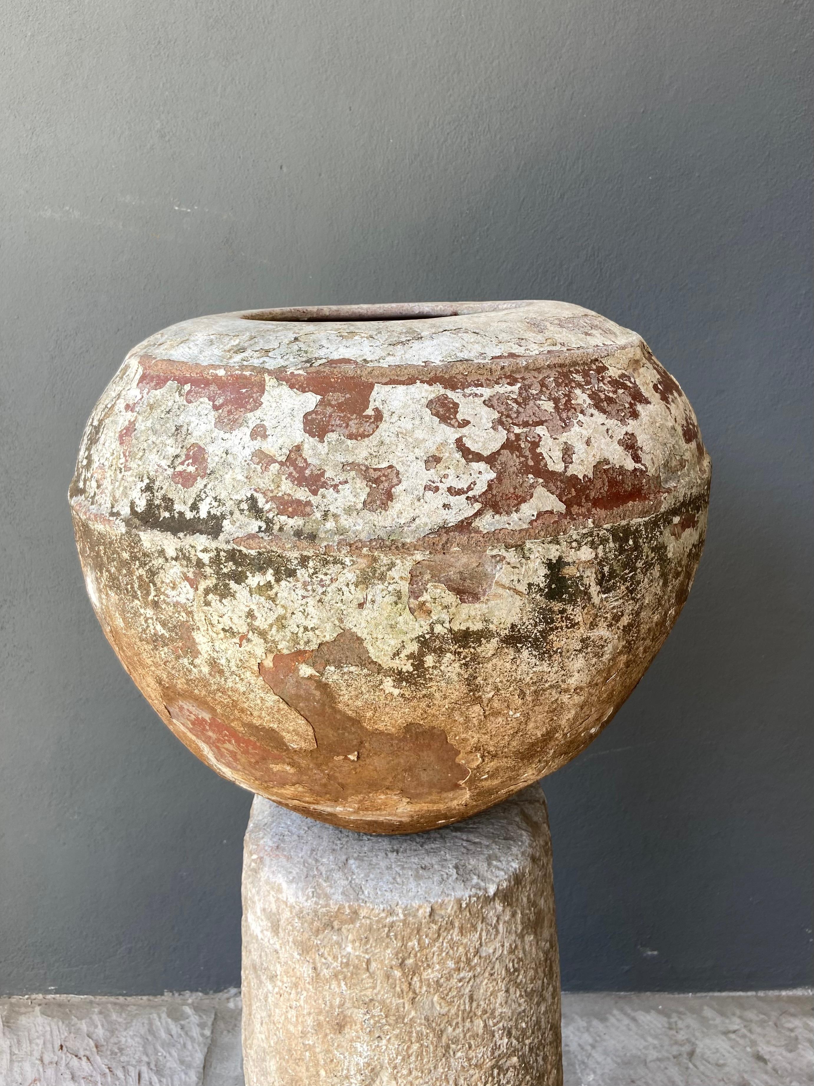 Terrakotta-Wassergefäß von Artefakto im Zustand „Neu“ im Angebot in Geneve, CH