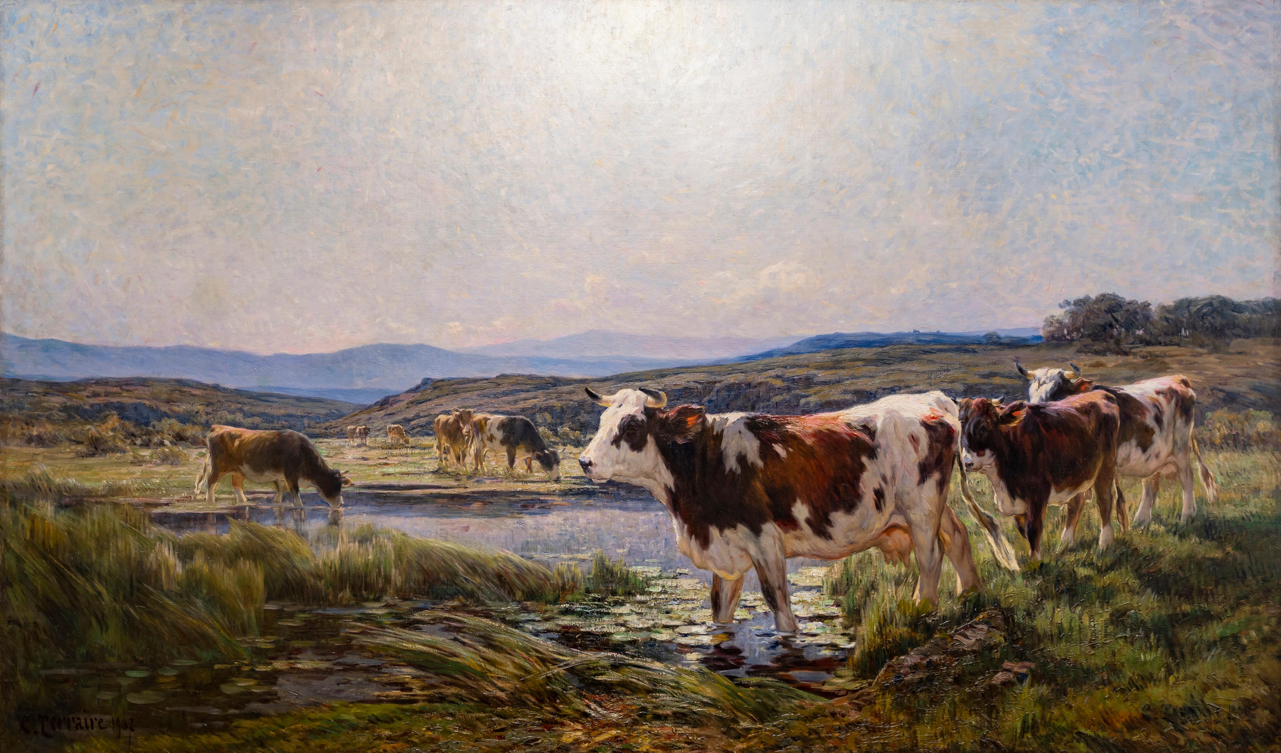 Monumental and decorative Oil on canvas by Clovis Terraire, signed and dated 1907, representing a herd of cows grazing by the riverside. Water lilies are visible in the foreground, while a mountainous landscape can be seen in the background.

Signed