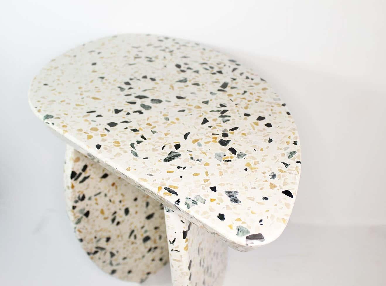 Terrazzo Terrazo Pierre Low Table by Plumbum For Sale