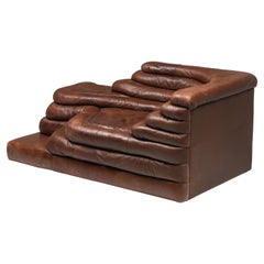 Terrazza Lounge Chairs in Brown Leather De Sede Ds 1025