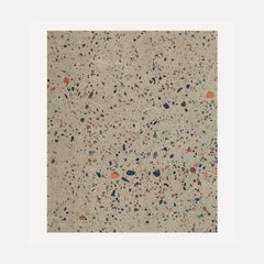 Terrazzo Rug by Atelier Bowy C.D.