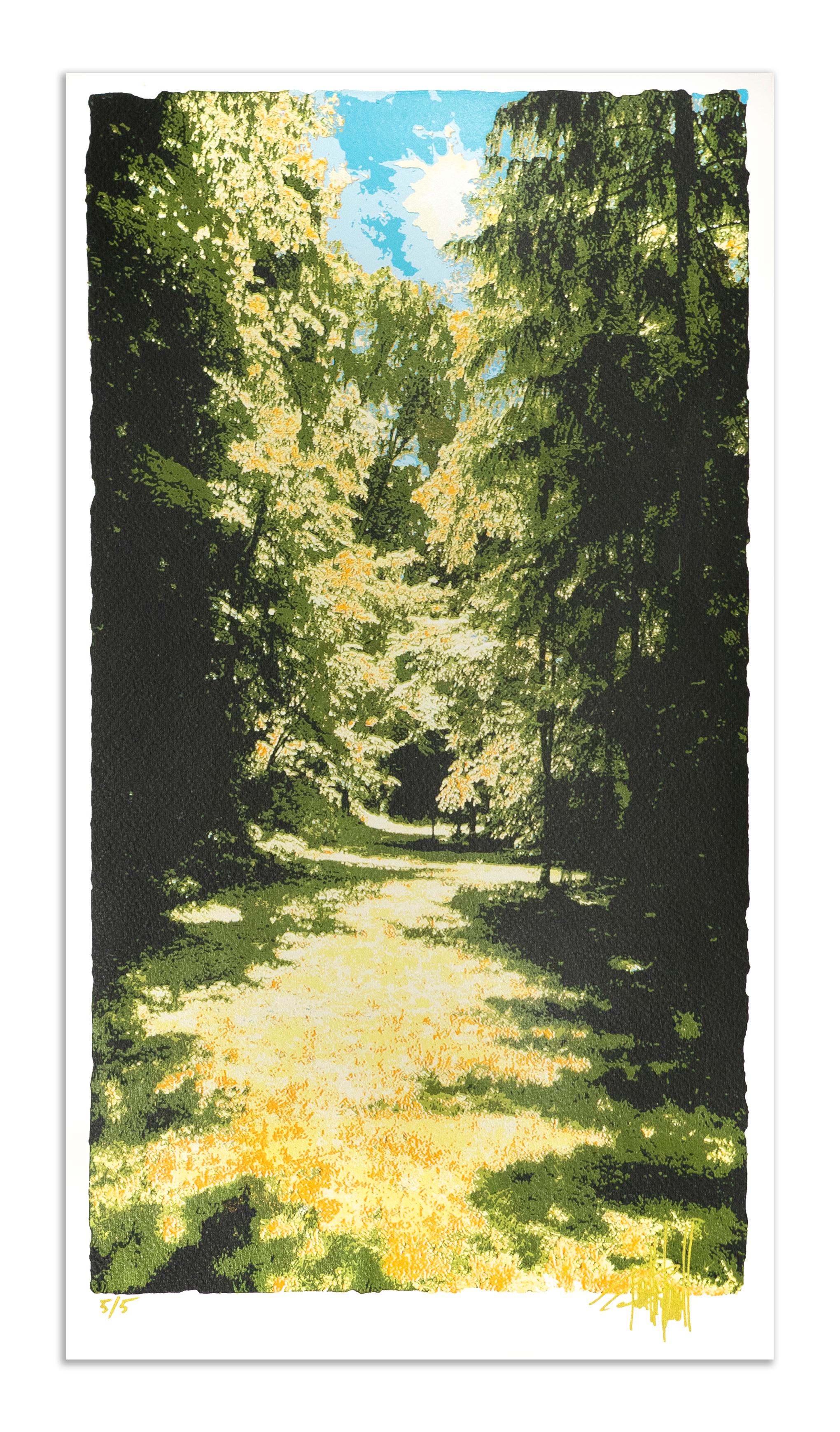 Terrell Thornhill  Landscape Print – Goldene Glade (4/5) 