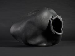 Stella terrestre di Paolo Marcolongo