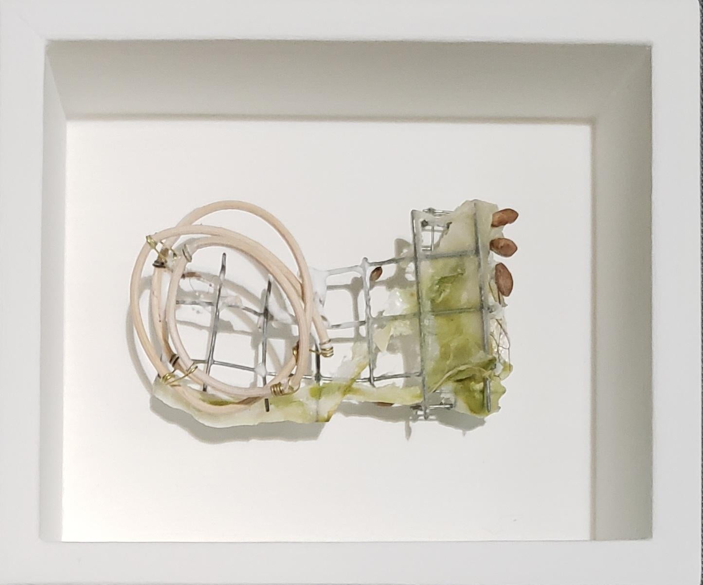 Abstract 3D wall sculpture: 'Springing' - Mixed Media Art by Terri Fraser