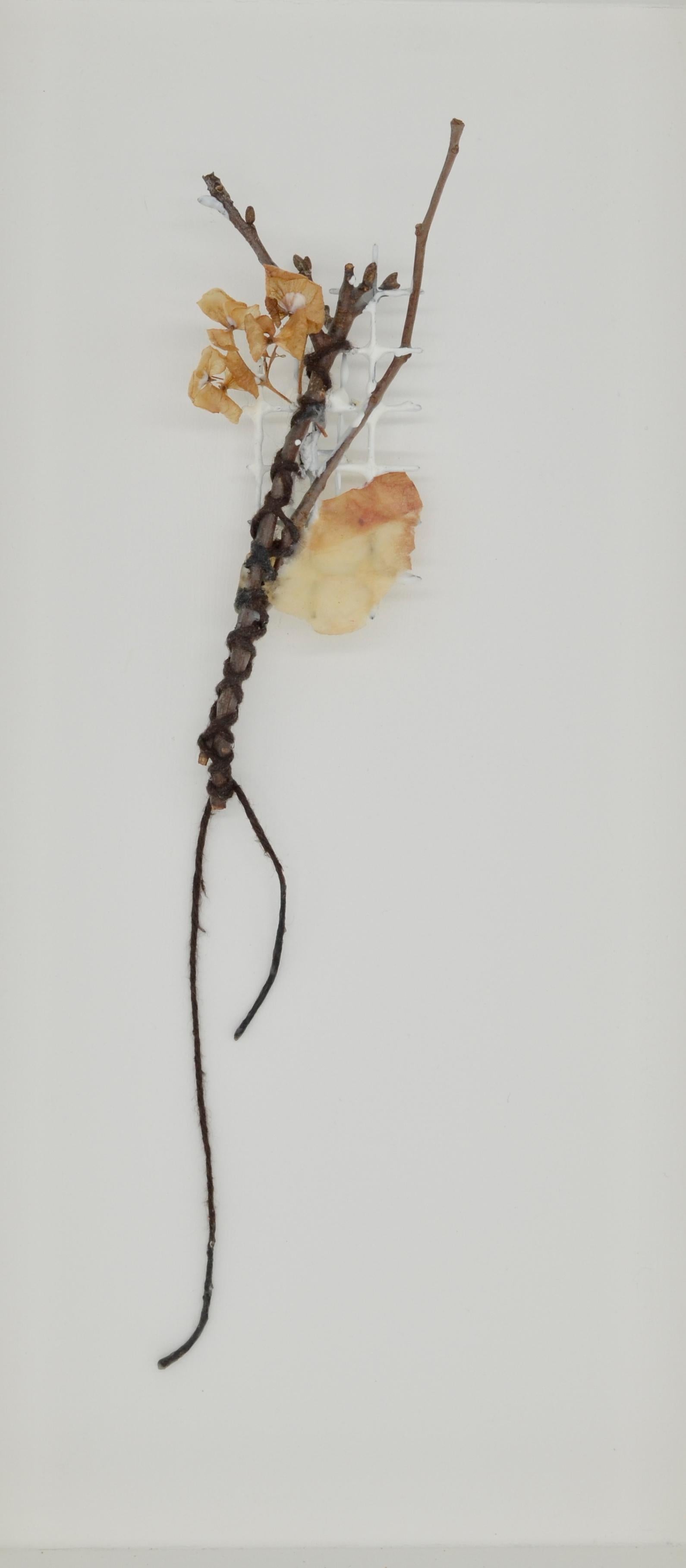 Abstrakte 3D-Wandskulptur: „Stick Up“ – Painting von Terri Fraser