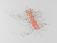 Escultura mural: "Cerise