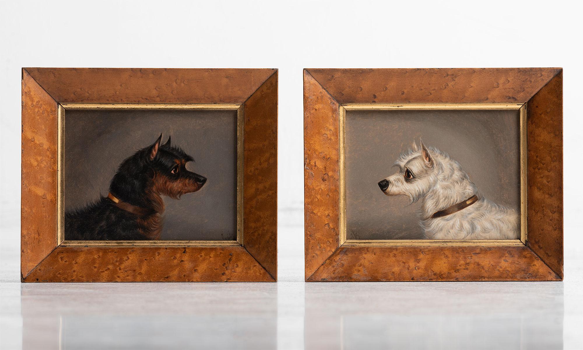 Pair of terrier portrait paintings, England, circa 1920.

Oil paint on board within bird's-eye maple frames, by the artist, 