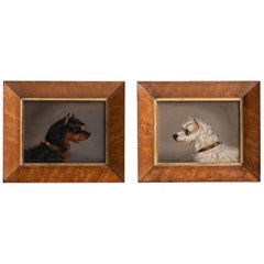 Cuadros de retratos de Terrier, Inglaterra, hacia 1920