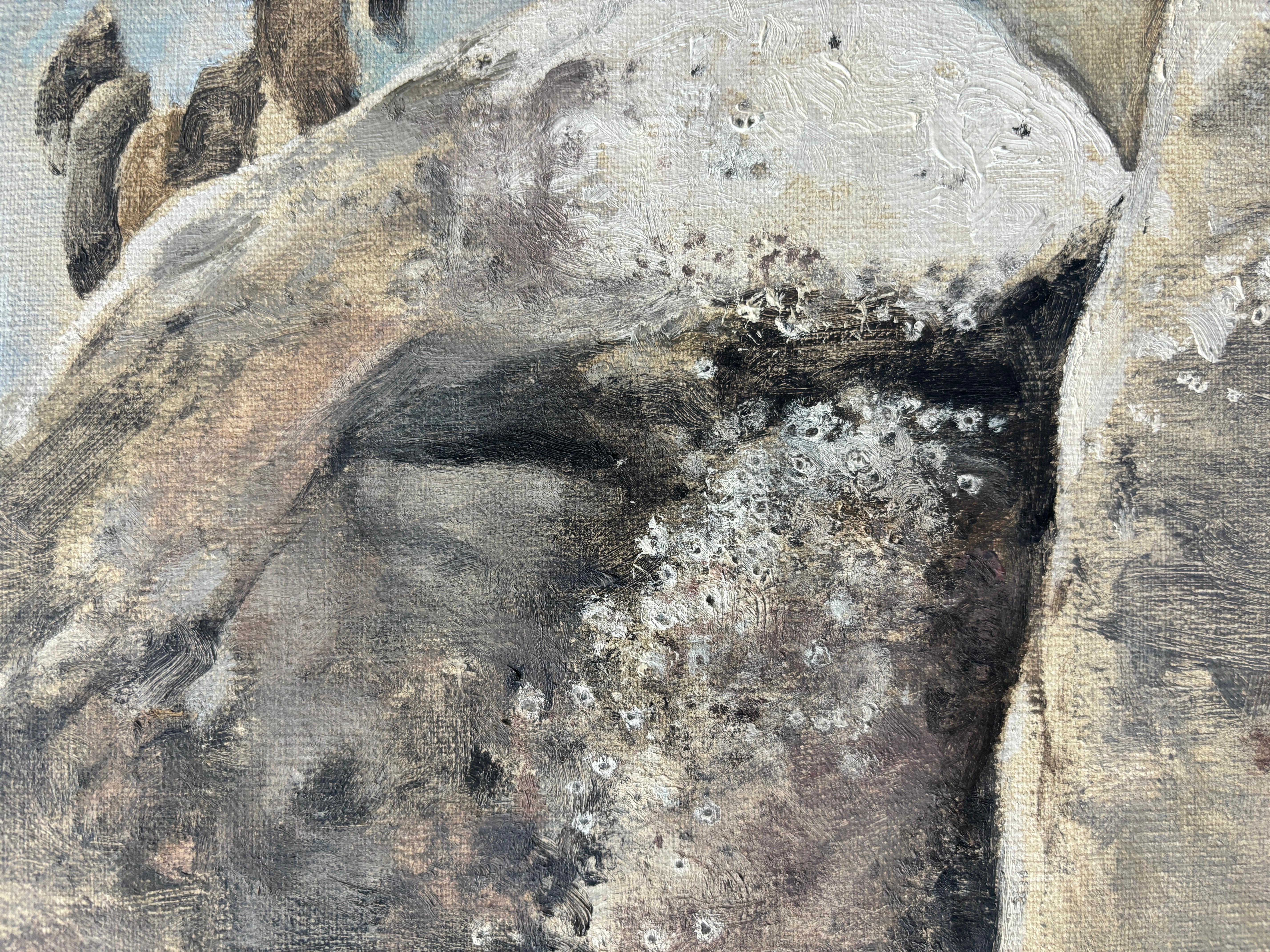 An oil painting on linen by Contemporary American Painter Terry Elkins. The scene depicts a large rock, on the surface of a rocky beach, coated with barnacles and remnants of bird presence, as the foreground to light blue seascape. 

Signed 