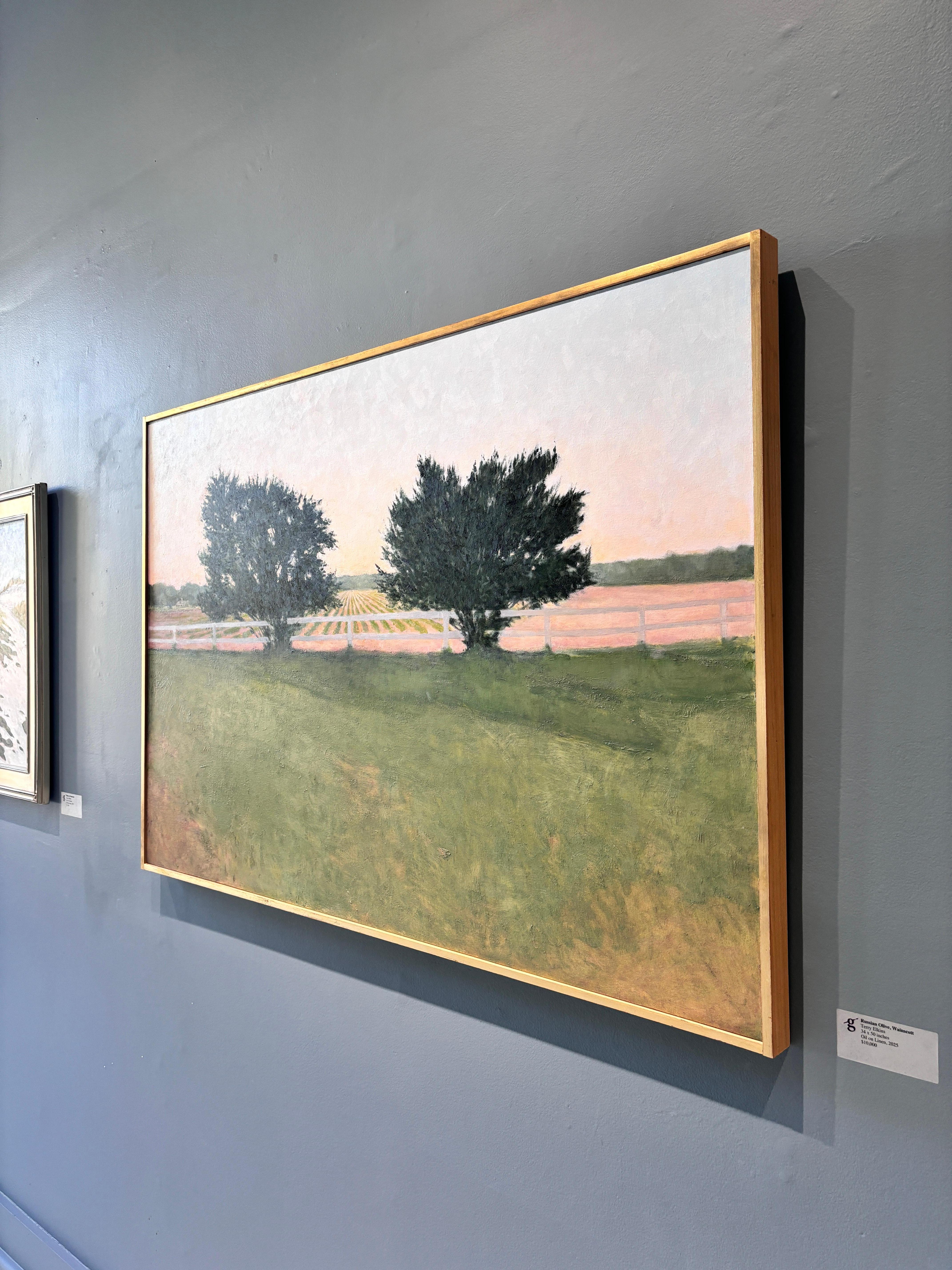 Ein zeitgenössisches poetisch-realistisches Gemälde, das zwei russische Olivenbäume, einen weißen Lattenzaun und Reihen eines Kartoffelfeldes in Wainscott, NY, darstellt. Der pfirsichfarbene und rosafarbene Horizont geht allmählich in einen sanften