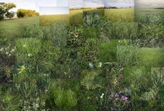 Fent Prairie, near Salina, Kansas, Late May