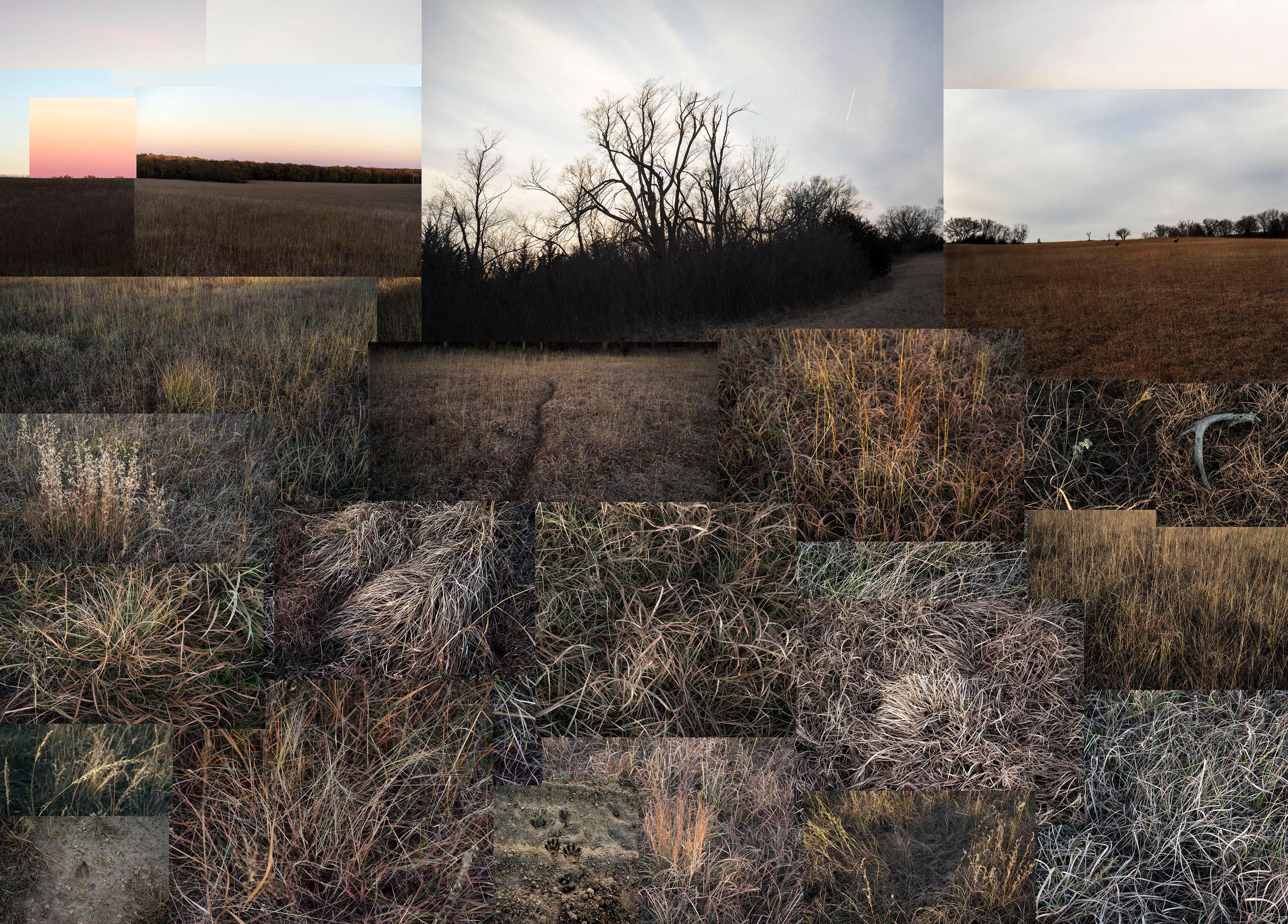 Terry Evans Landscape Photograph - Fent’s Prairie, Central Kansas, January