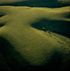 Used Konza Prairie, June