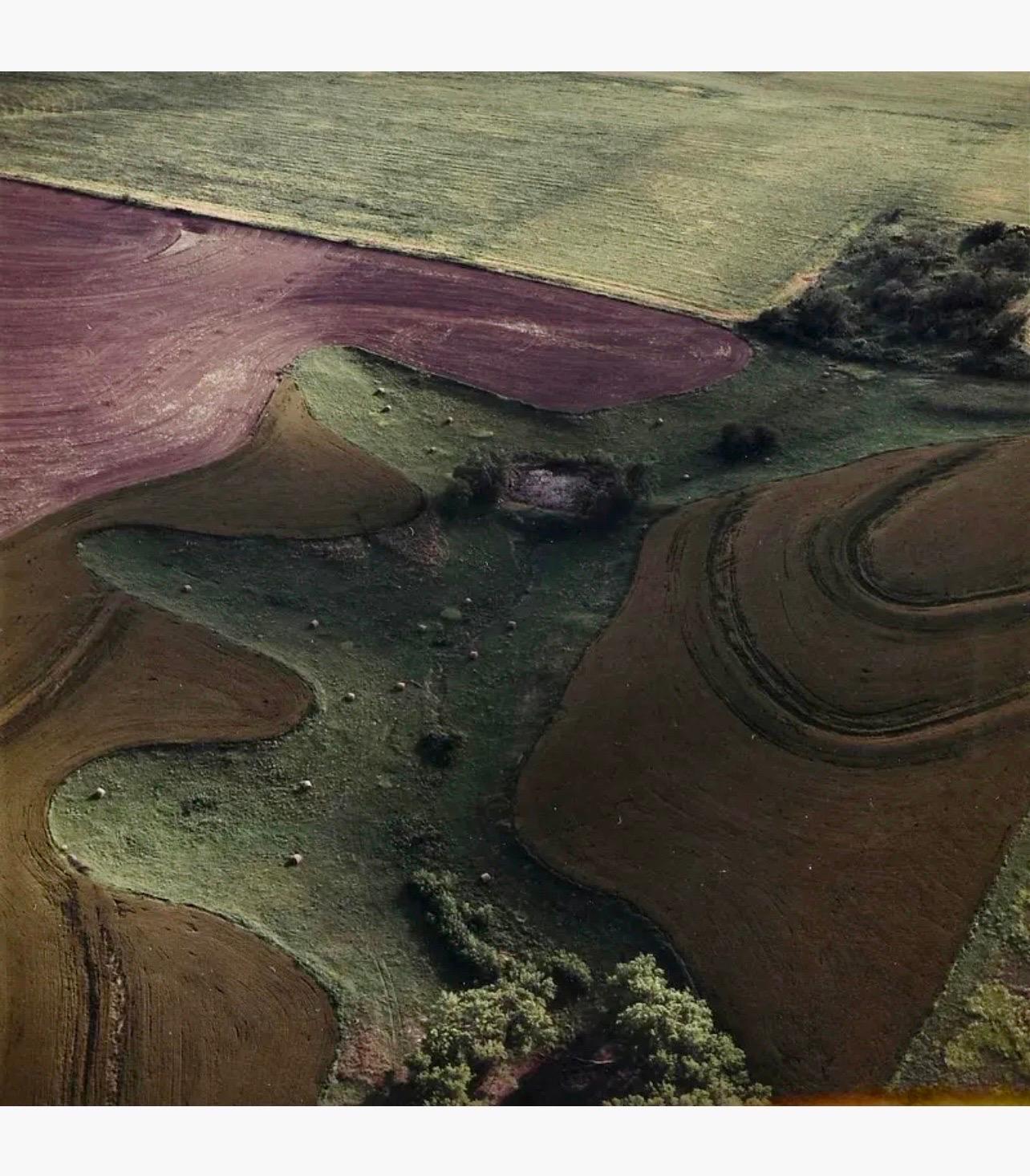 Photographie de paysage vintage en couleur abstraite à grande échelle en forme de C de Terry Evans en vente 1