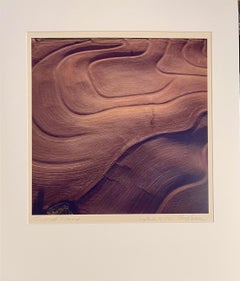 Vintage Color Abstract Art Landscape Photography Large C Print Photo Terry Evans