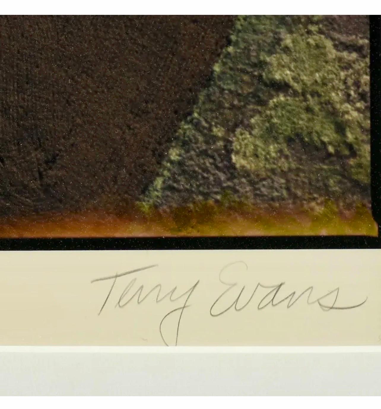Photographie de paysage vintage en couleur abstraite à grande échelle en forme de C de Terry Evans en vente 2
