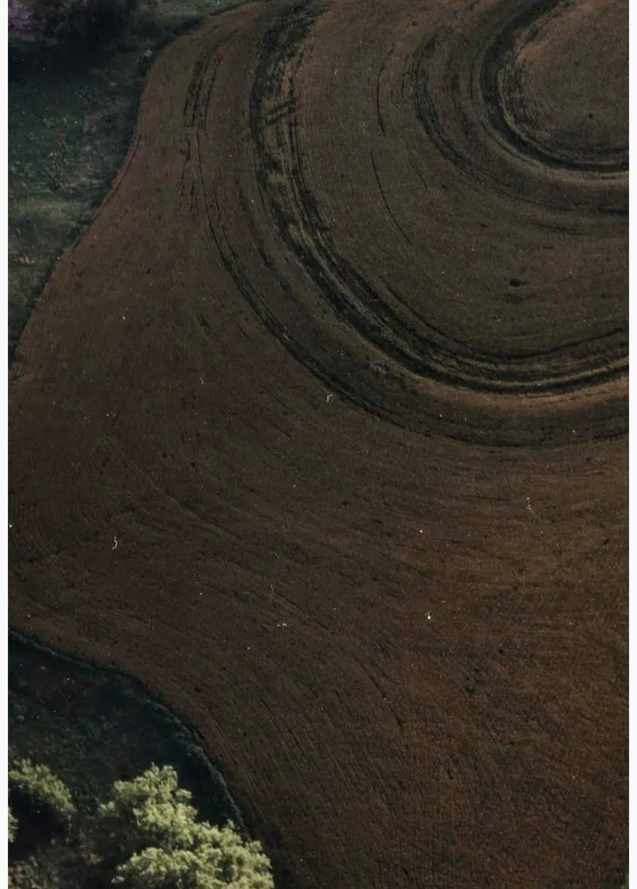 Vintage-Farb-Abstrakte Kunst-Landschaftsfotografie, Großes Foto mit C-Druck, Terry Evans im Angebot 5