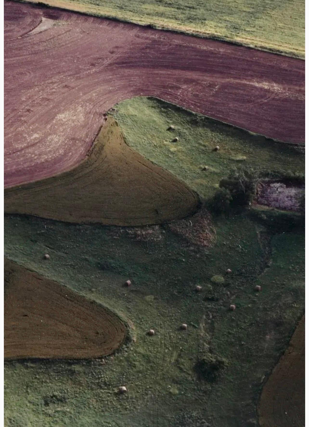 Photographie de paysage vintage en couleur abstraite à grande échelle en forme de C de Terry Evans en vente 7