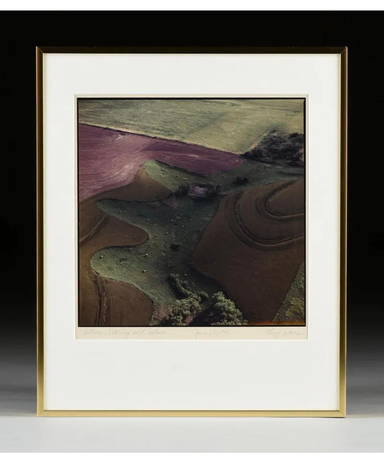 Vintage-Farb-Abstrakte Kunst-Landschaftsfotografie, Großes Foto mit C-Druck, Terry Evans