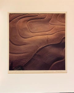 Vintage Color Abstract Art Landscape Photography Large C Print Photo Terry Evans