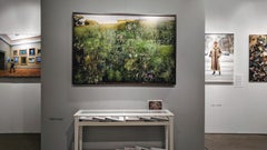 Willow Tree, August and September