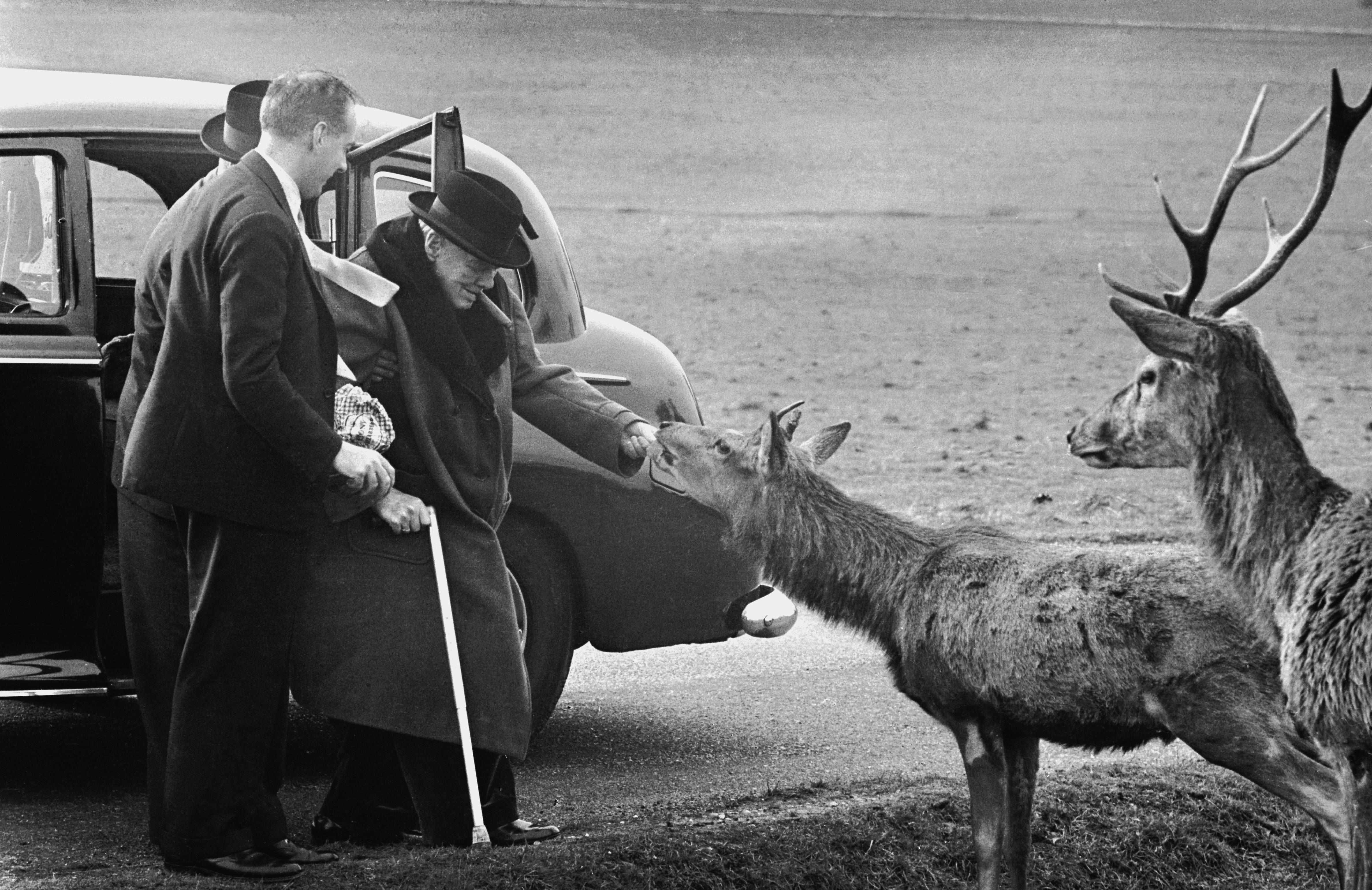 Churchill im Richmond Park (1963) - Silbernes Gelatinesfaserdruck
